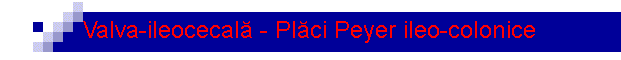 Valva-ileocecal� - Pl�ci Peyer ileo-colonice